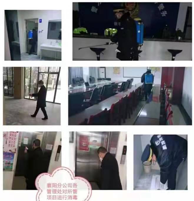 -2.jpg